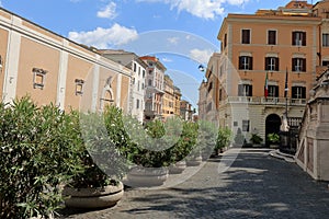 Flowerbeds on street Via XXIV Maggio in Rome photo