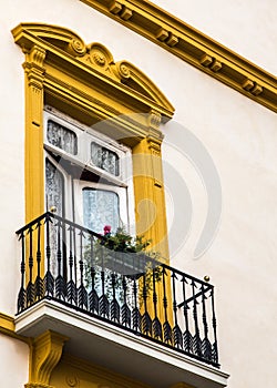 Flowerbox on Yellow Balcony