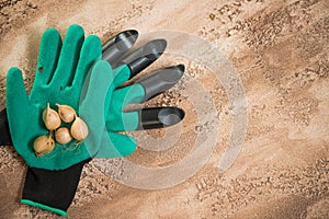 Flowerbulbs and gardening tools