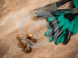 Flowerbulbs and gardening tools