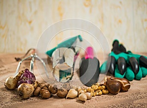 Flowerbulbs and gardening tools