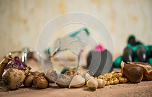 Flowerbulbs and gardening tools