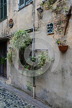 Flowered alley in Albissola Marina