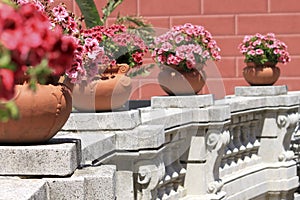 Flowered balcony