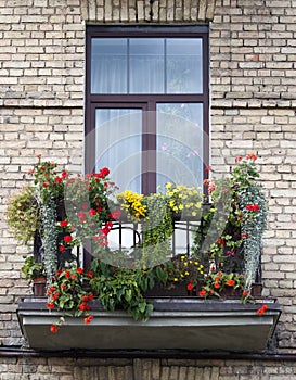 Flowered balcony