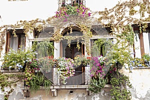 Flowered balcony