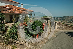 Flowered bushes in front of charming old house in Monsanto