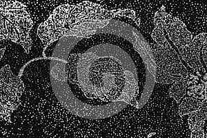 Flowered fabric texture