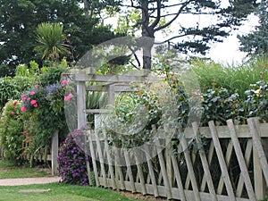 Flowered Fence