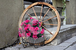 Flowered wagon with antique old wheel