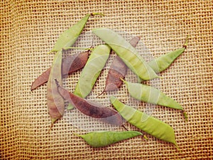 Flowerfence pods photo