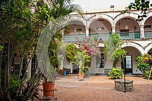 the flowering backyard of the convent.