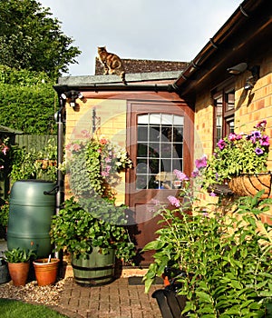 Flowering Baskets and Planters