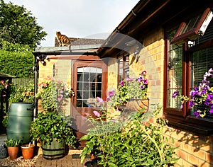 Flowering Baskets and Planters