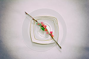 Flowering branch of a peach with pink flowers on a white saucer on a gray background close-up, top view