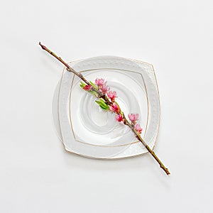 Flowering branch of peach with pink flowers on a white saucer on white background