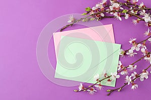 Flowering branch. Spring flowers and color envelopes on a bright lilac background. top view