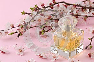 Flowering branch. Spring flowers and perfume bottle on a bright pink background
