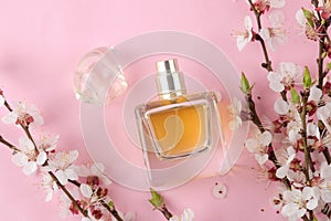 Flowering branch. Spring flowers and perfume bottle on a bright pink background. top view