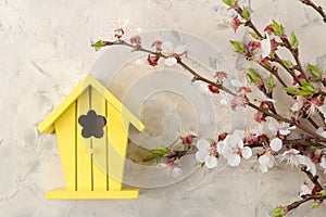 Flowering branch. Spring flowers and a yellow birdhouse on a light concrete table. top view