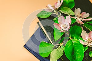 Flowering branches of apple trees lie on the books. background for sayings