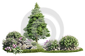 Flowering bush with rocks for landscaping