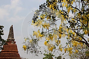 Flowering Cassia Fistula And Ancient Pagoda