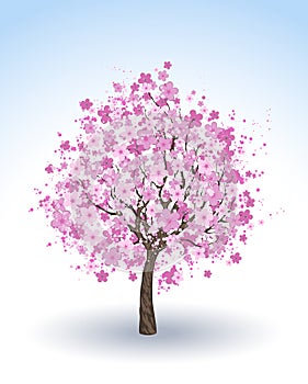 Flowering cherry tree