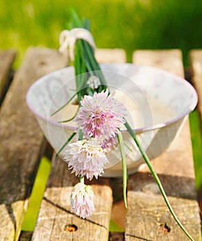 Flowering Chives