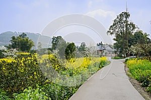 Floreciente sobre el municipio en soleado primavera 