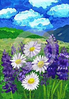 Flowering daisies and lupines during the summer day. Children`s drawing