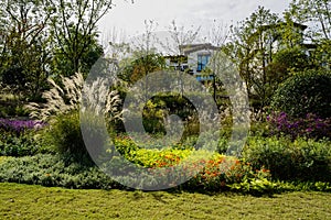 Flowering garden before houses at sunny winter noon