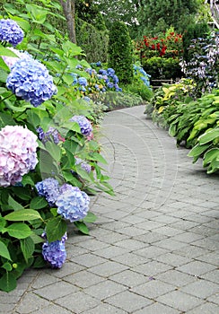 Flowering garden path.