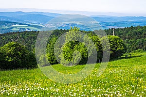 Flowering meadow, bush, wood and village, Lipa