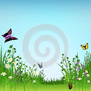 Flowering Meadow and Butterflies