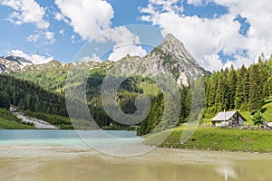 Flowering meadow clover on a flower meadow in summer, GermanyLandscape of the Weisspriachtal in Lungau, AustriaLake Schlierer in t