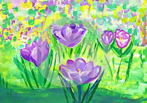 Flowering purple crocuses on a sunny day. Children`s drawing