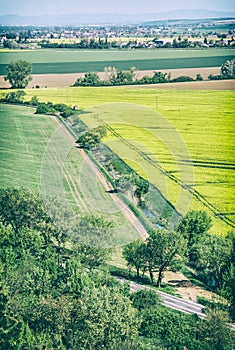 Flowering rapeseed field in spring time, blue filter