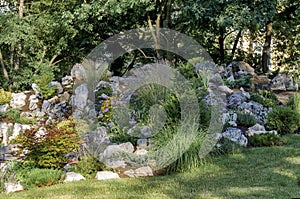 Flowering rock garden or rockery in spring