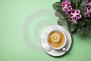 Flowering Saintpaulias, commonly known as African violet and a cup of tea with lemon close-up. Composition for Valentine