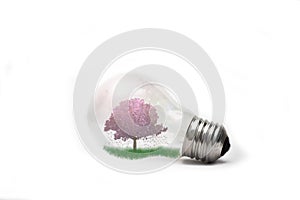 Flowering sakura in a light bulb