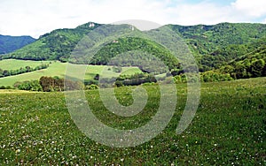 Flowering spring meadow with Rohata skala hill in Strazovske vrchy mountains