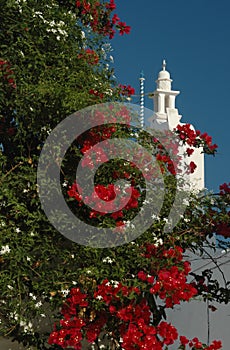 Flowering tree and greek church