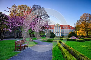 Flowering trees in a spring public park, Gdansk Oliwa. Poland photo