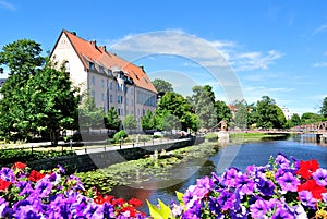 Flowering Uppsala. Sweden photo