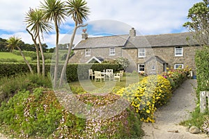 Flowering Walls, Scilly Isles