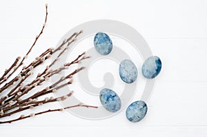 Flowering willow branches with fluffy buds and blue eggs on white background. Spring card template with copyspace