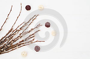 Flowering willow branches with fluffy buds and rotang balls on white background. Spring card template with copyspace