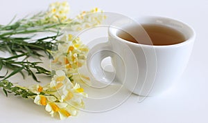 Flowering yellow Common Toadflax ,Linaria vulgaris and cup of tea close up isolated on white background.Medicinal plants, herbs in