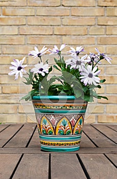 Flowerpot photo